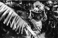 yj_p.100_1984_martinique_2971.18A.jpg