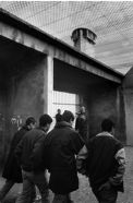 yj_p.120_1990_baumettes_4564.22A.jpg
