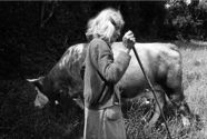 yj_p.124_1990_tarn_4658.8A.jpg